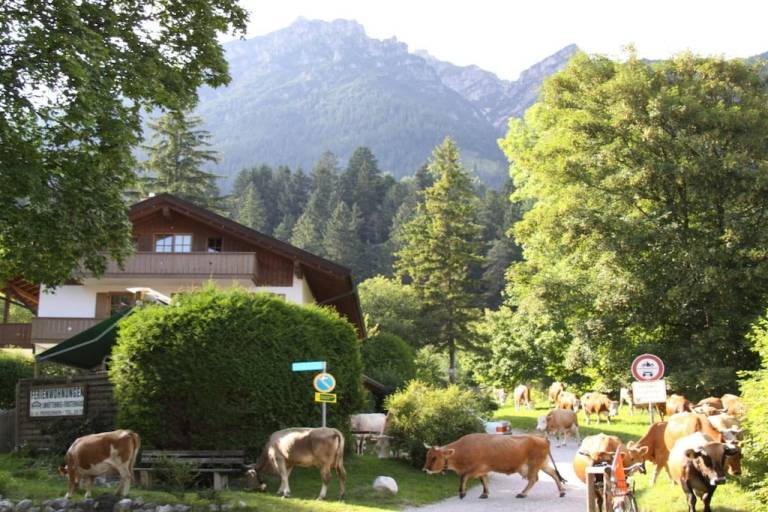 Vacation home with 2 rooms for 6 persons — photo 4