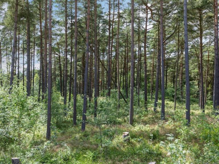 Ferienpark Aakirkeby