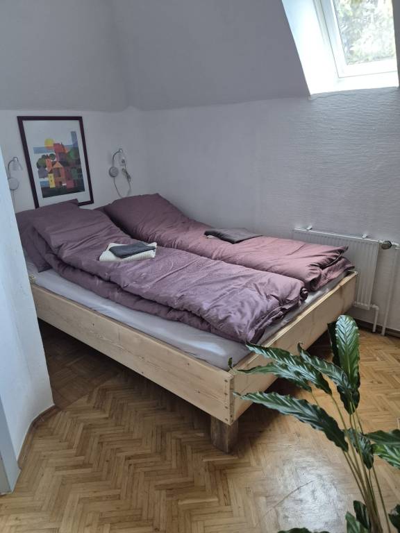 foto5
