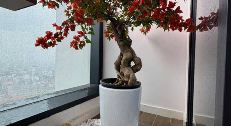 foto18