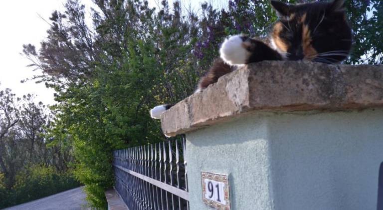 foto36