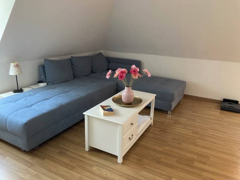 Ferienwohnung Freiberg