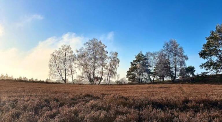 foto44