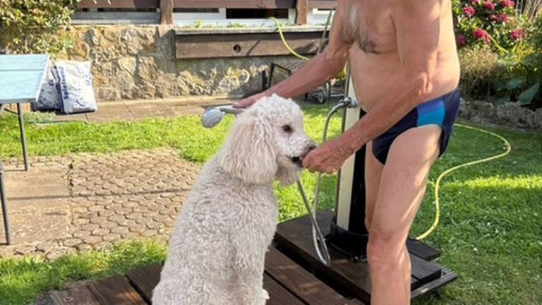 Ferienwohnung Gemünden am Main