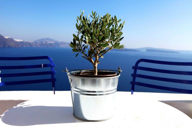 Villa Oia