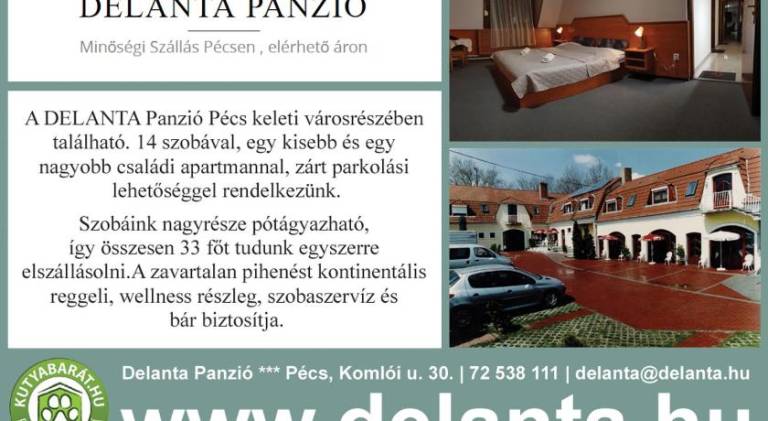 Delanta Panzio — photo 4