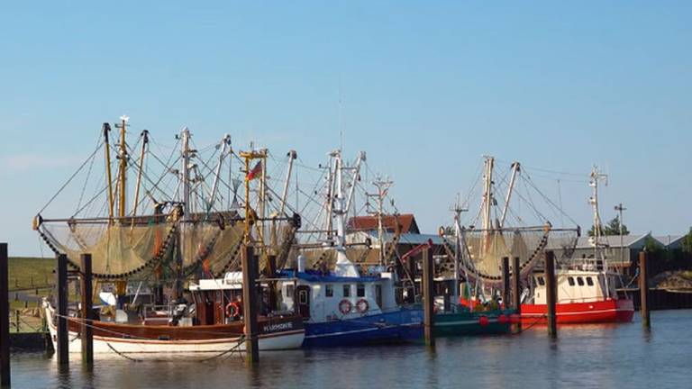 Ferienwohnung Butjadingen