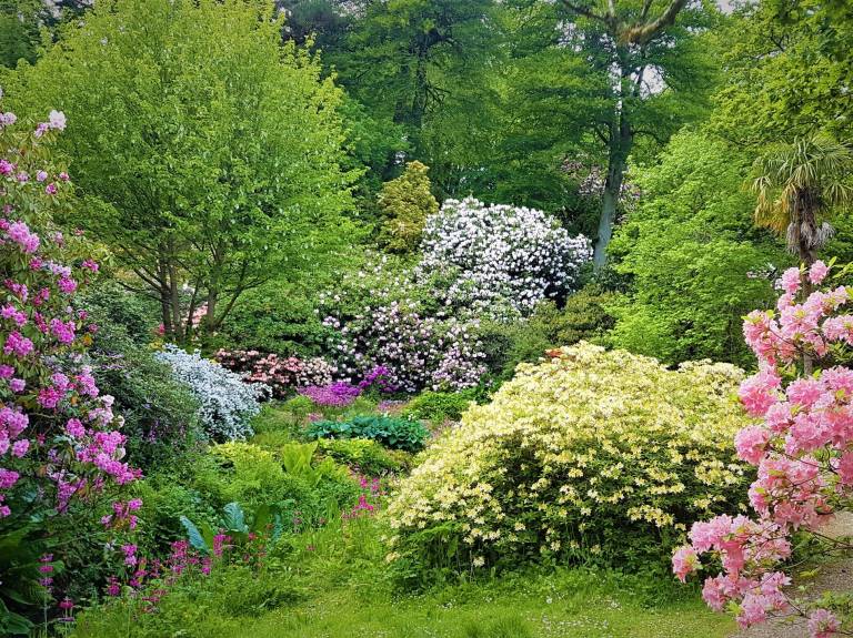 foto44