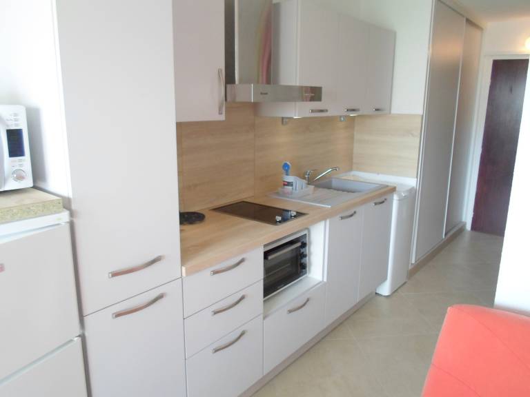 Cozy apartment near thermal baths, pets allowed in Balaruc-les-Bains