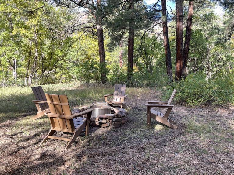 Pet Friendly Cabin on 3.5 acres between Durango and Purgatory - Fire Pit — photo 3