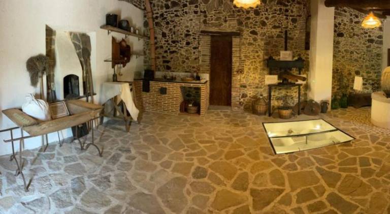 Holiday apartment with 1 room for 5 persons — photo 4