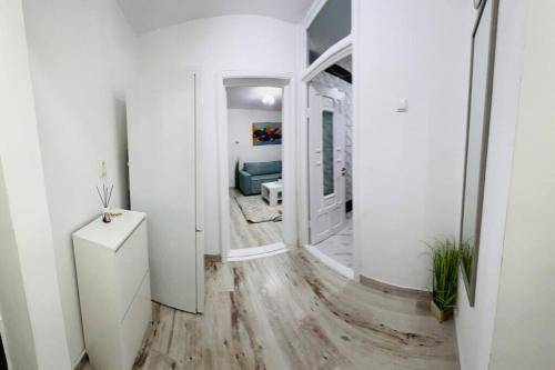 Apartment  Viziru I