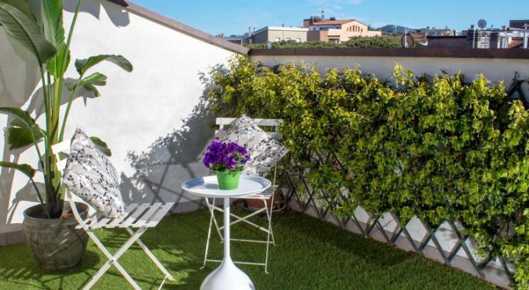 Rental apartment with 1 room for 5 persons in Cattolica