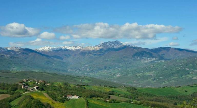 foto41
