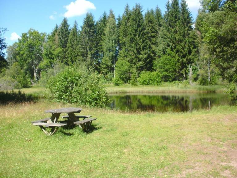 foto15
