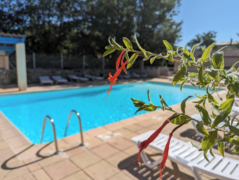 Maison de vacances Pradons