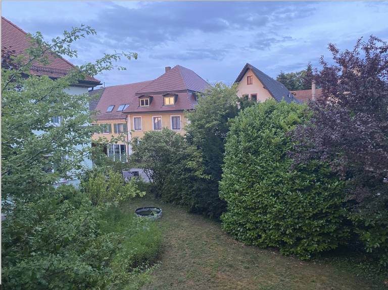 foto11