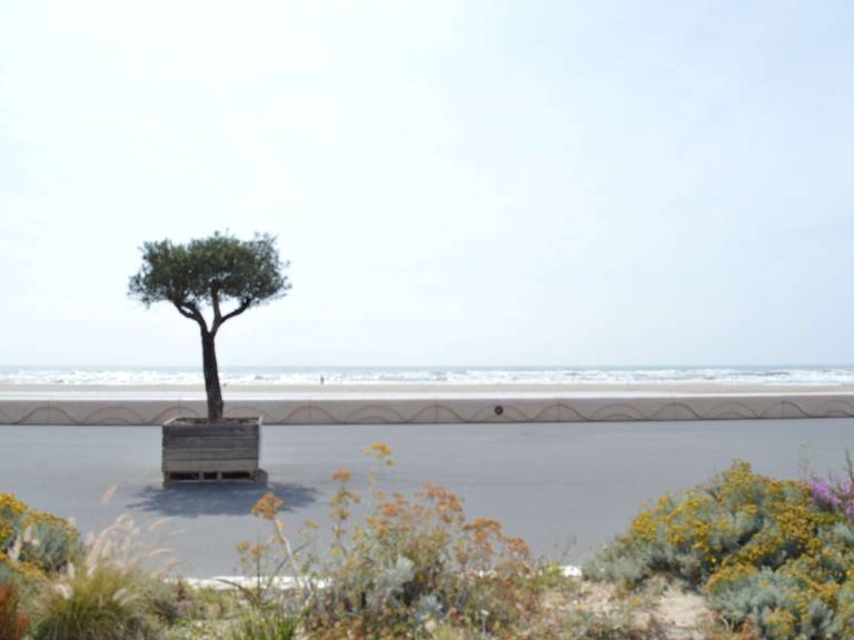 foto14