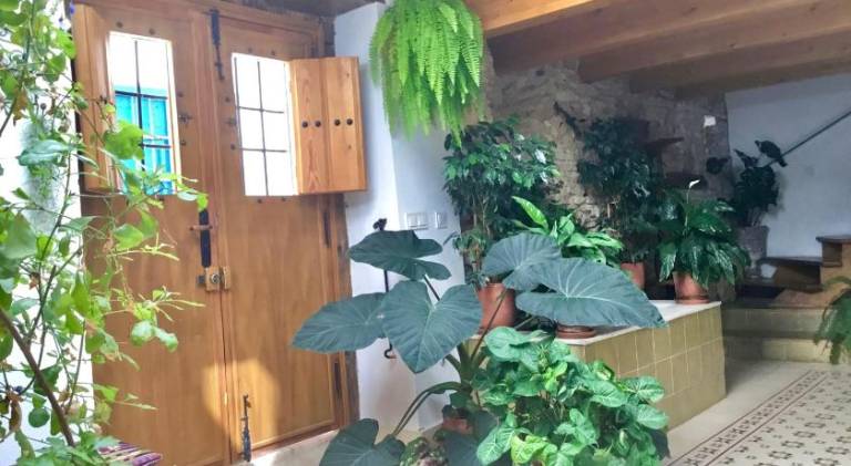 Apartment | Close to Mosque–Cathedral of Córdoba | Dogs allowed in Córdoba