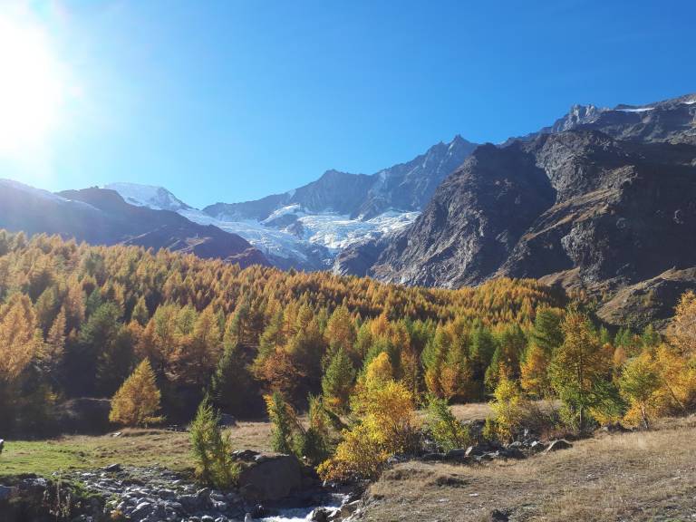 Ferienwohnung in Saas-Grund für max. 5 Gäste