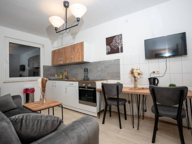 Nice holiday apartment with patio | Perfect for remote work | Pets are welcome — photo 2