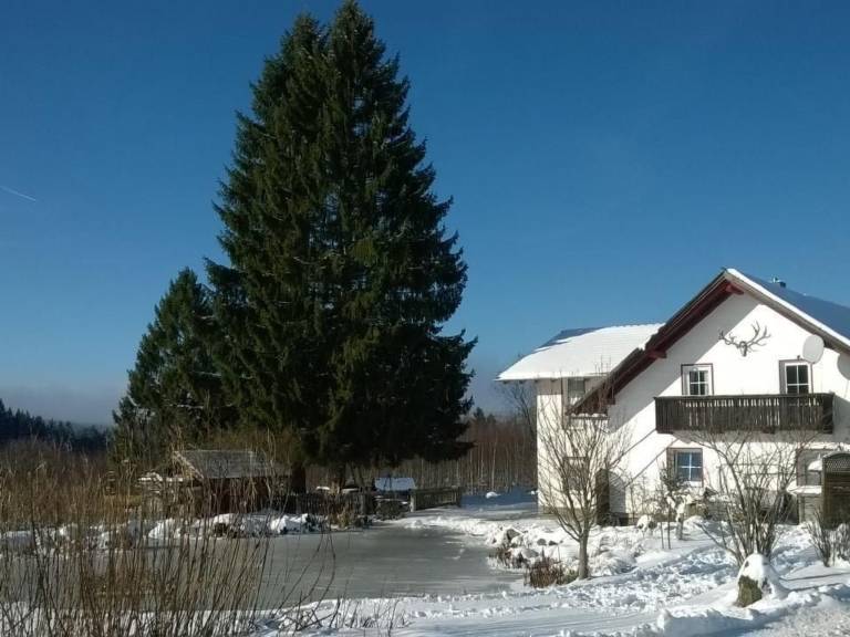 Ferienwohnung Philippsreut