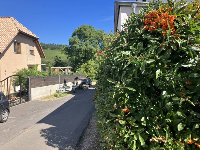 foto27