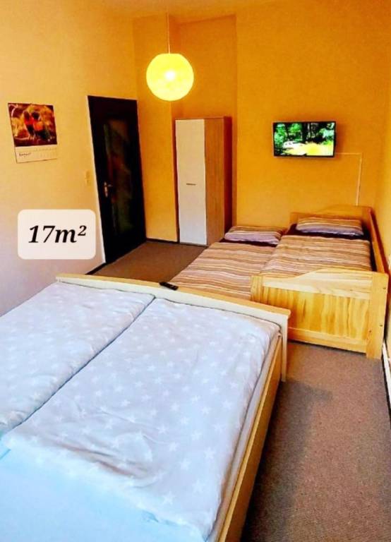 foto1
