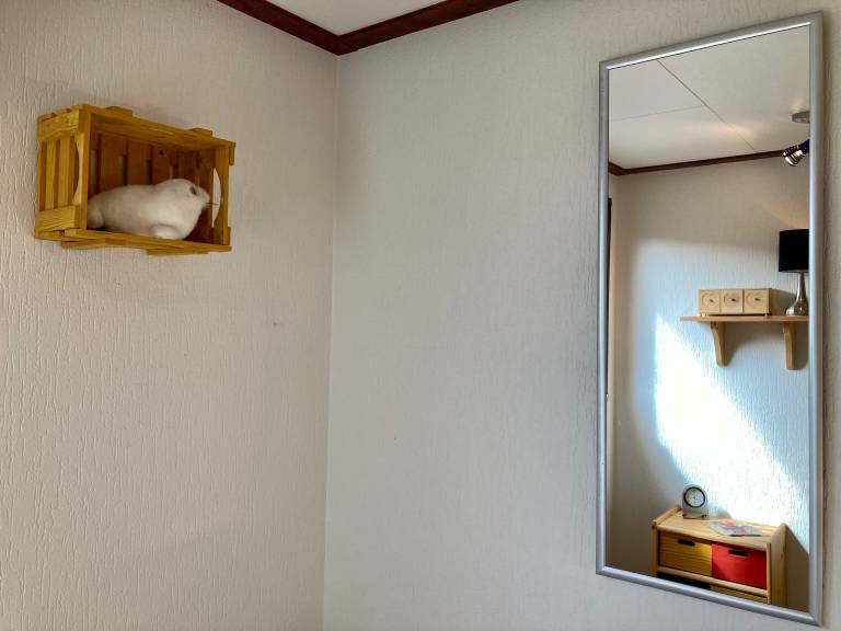 foto13