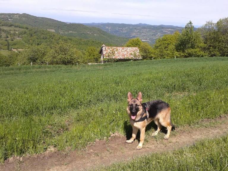 foto4