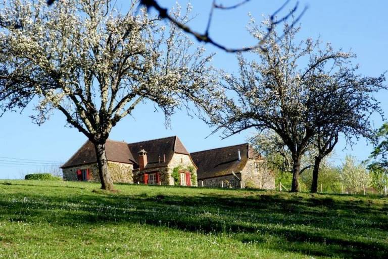 Cottage Saint-Léon-sur-Vézère