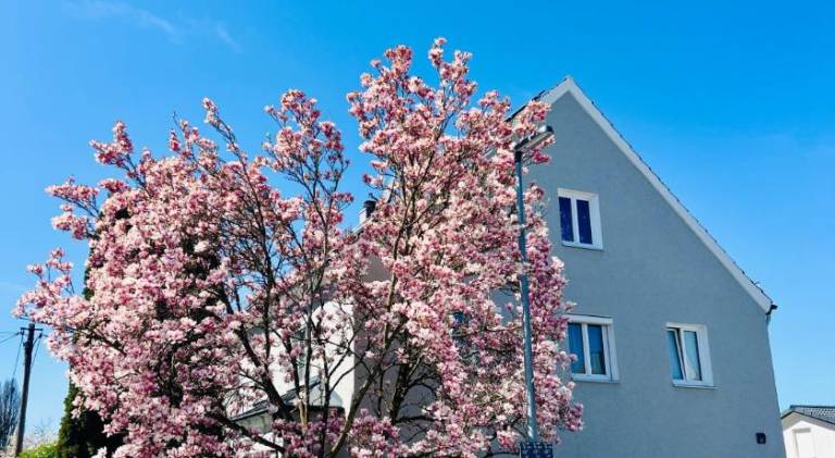 Holiday apartment with 1 room for 4 persons — photo 3