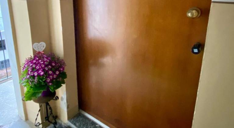 Beautiful rental apartment | Pets are welcome — photo 5