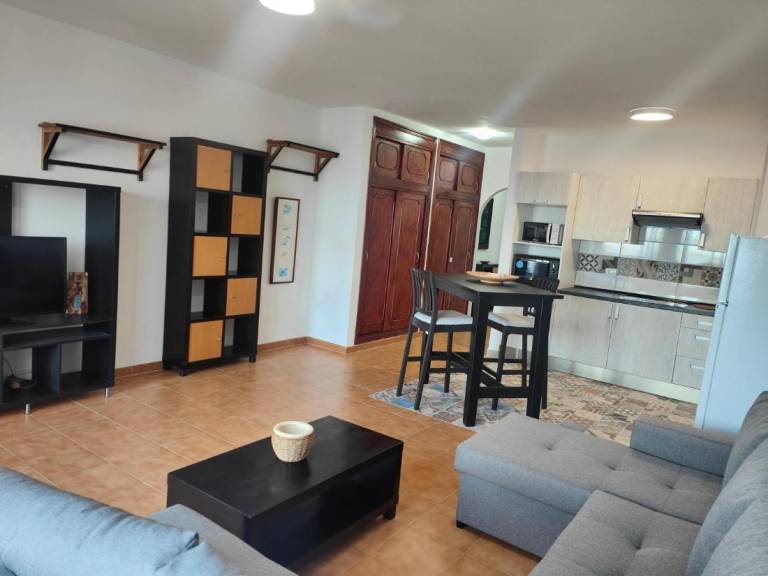 Rental apartment with terrace — photo 2