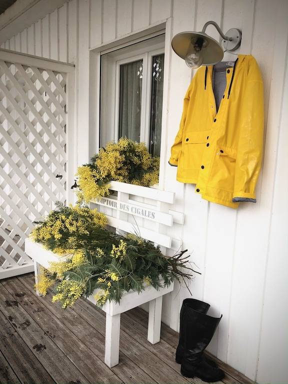 Appartement Lège-Cap-Ferret
