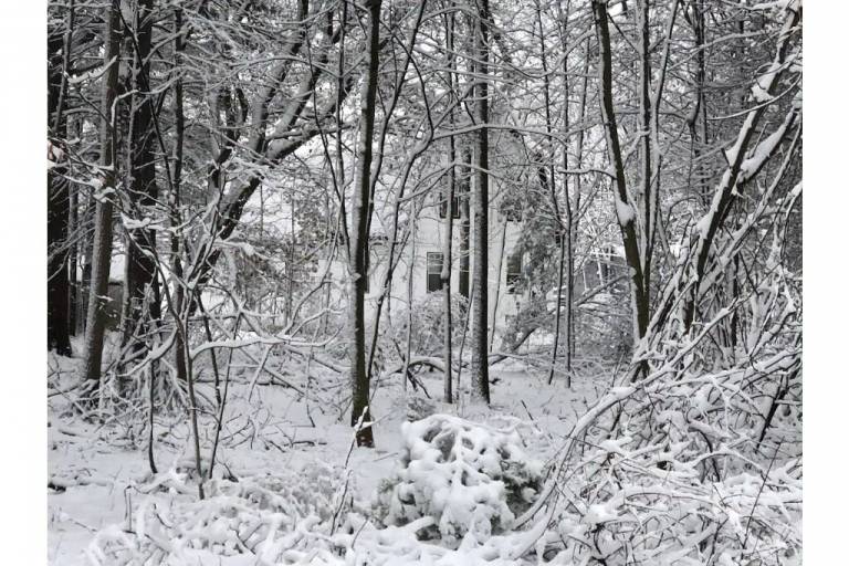 Farmhouse  Elk Rapids
