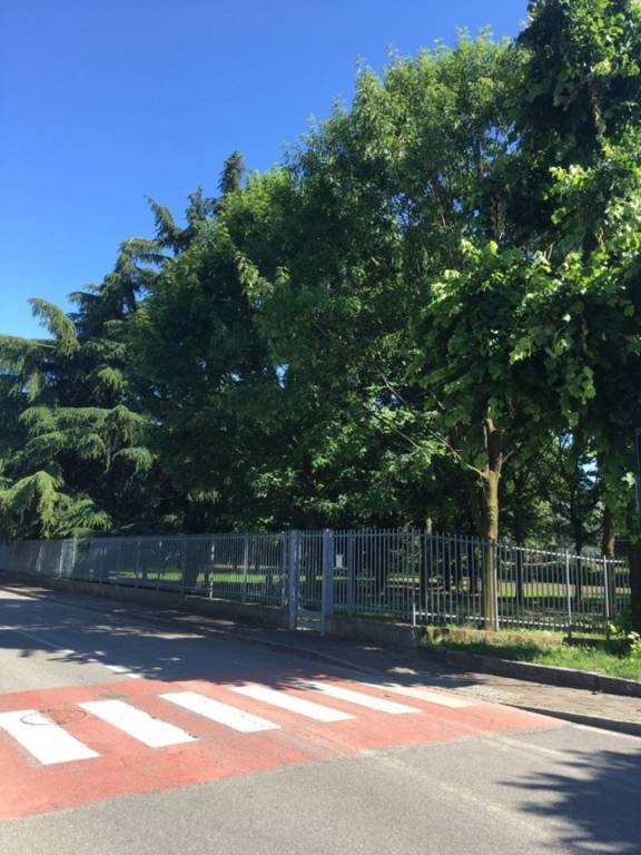 foto41