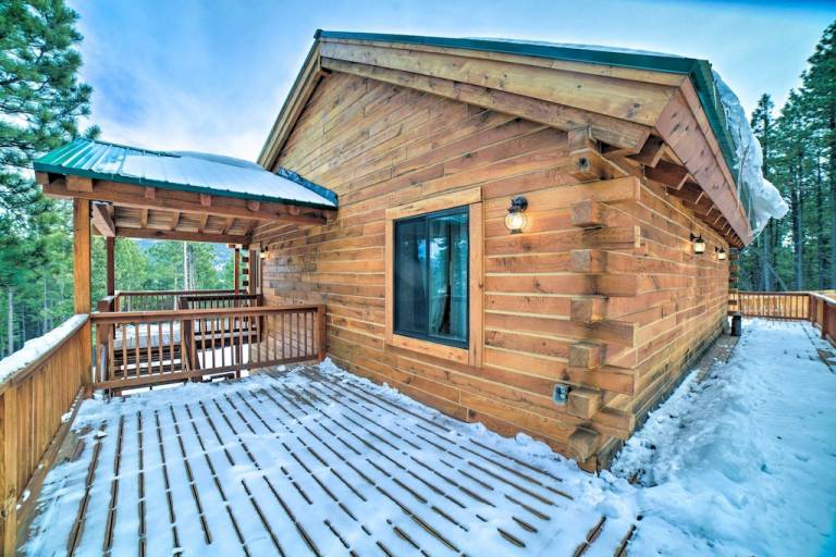 Cabin Angel Fire