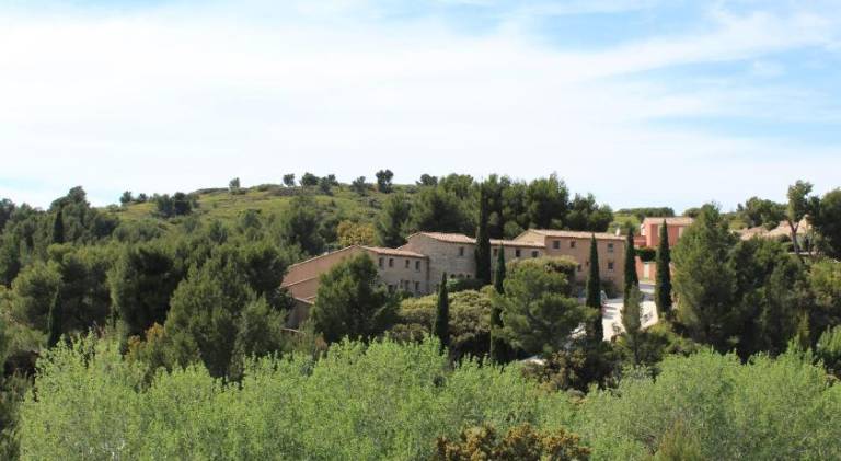 Les Garrigues de la Vallee des Baux in Les Baux-de-Provence