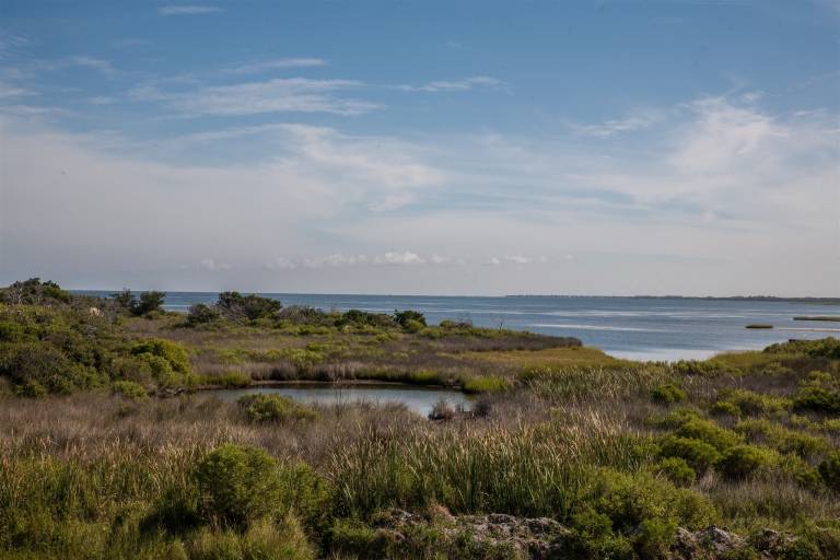 Cottage with grill | Beach view — photo 3