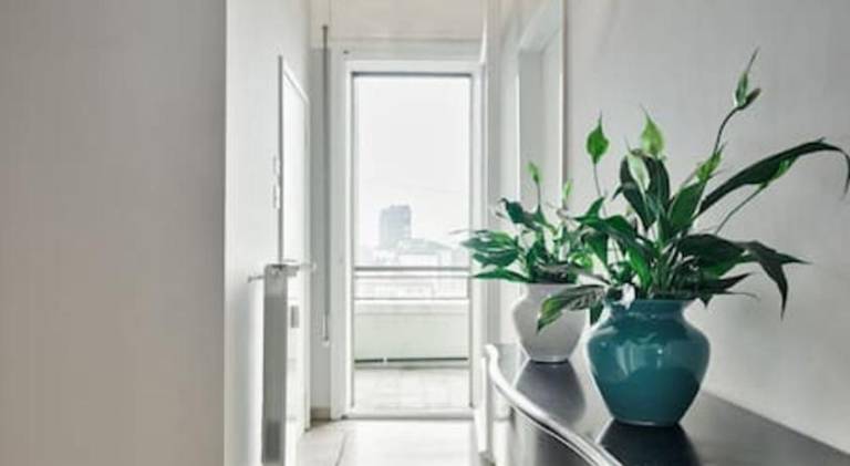 Ample apartment | Pet-friendly — photo 2