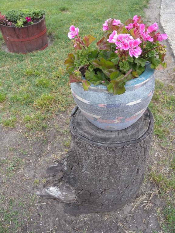 foto5