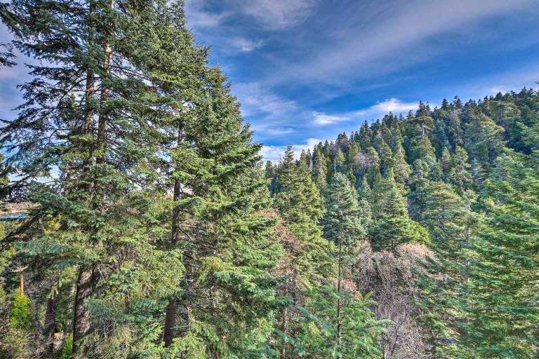 Lake Arrowhead Cabin w/ Deck & Stunning Mtn Views! — photo 2