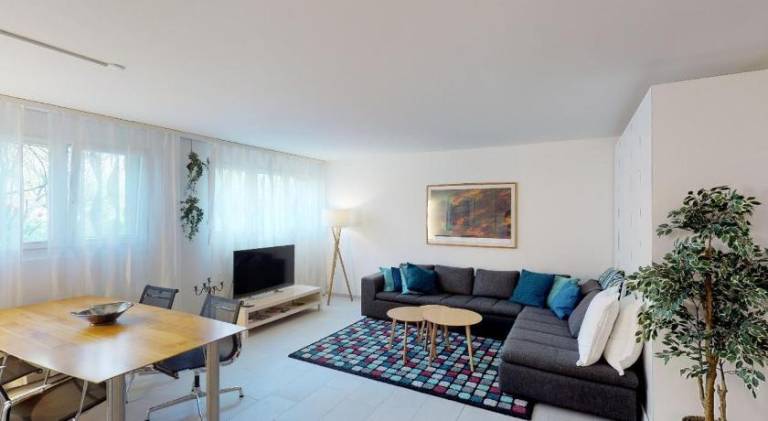 Unique Serviced Living at Basel Waterfront 9001 — photo 4
