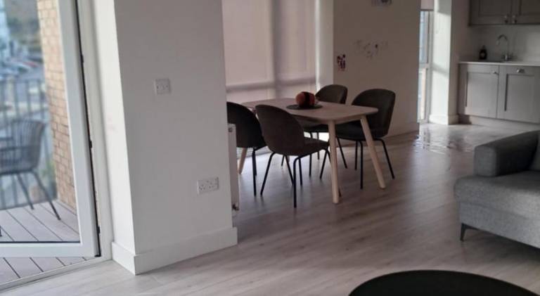 Modern Ensuite King Bedroom in Sandyford — photo 4