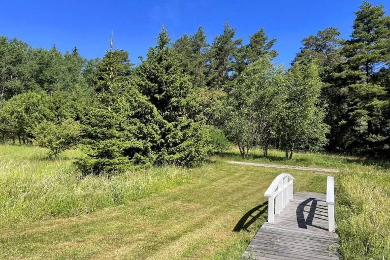 Wonderful vacation home with terrace | Pets are welcome — photo 2