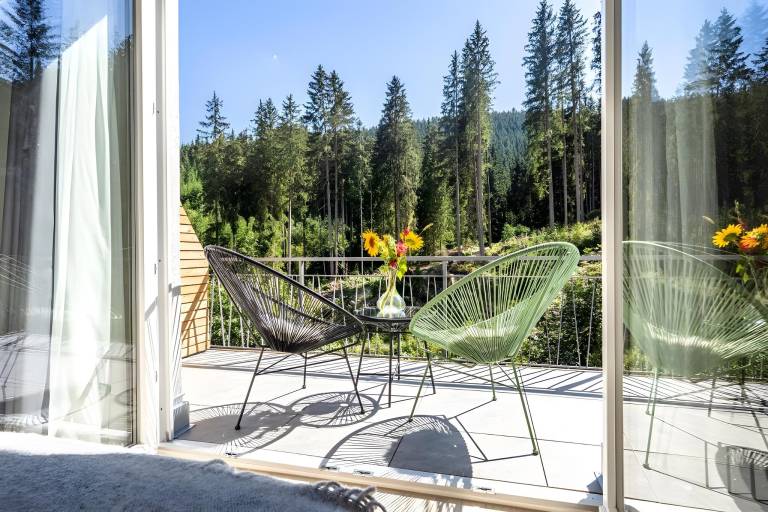 Ferienwohnung Titisee-Neustadt
