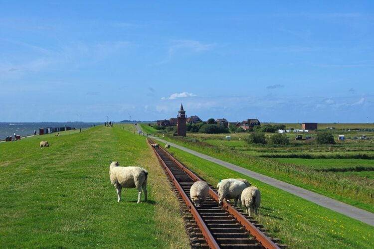 foto21