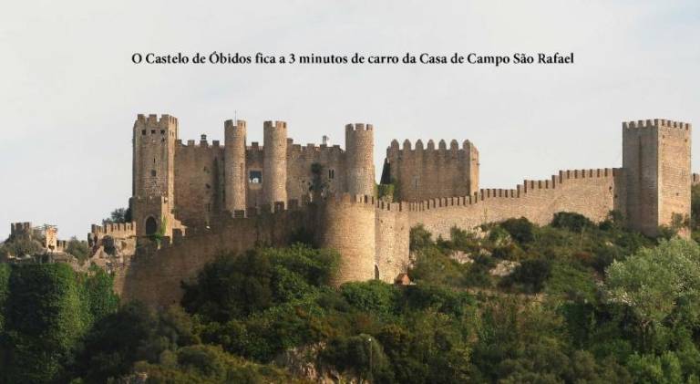 foto48