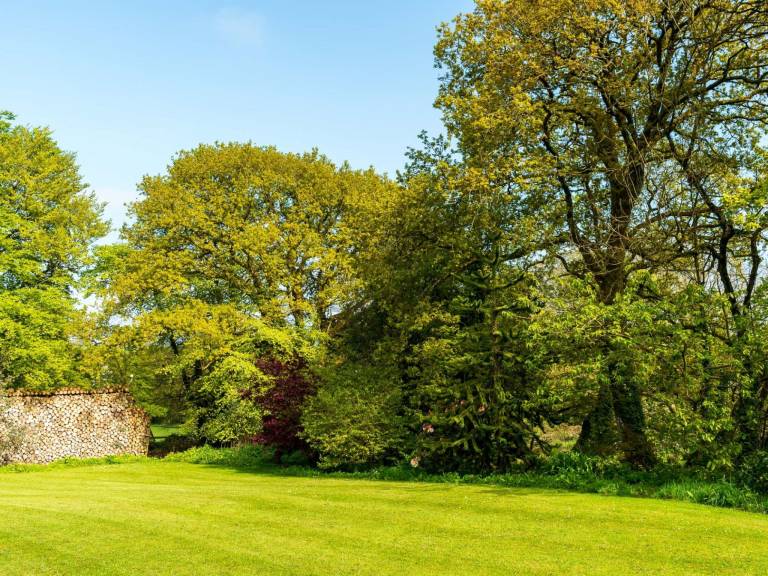 Children-friendly vacation home with garden | Pet-friendly — photo 4